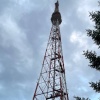 Кемеровчанка обнаружила насекомое в купленной в магазине смеси орехов и цукатов
