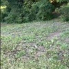Новосибирцы заметили очередного извращенца в Заельцовском районе Новосибирска
