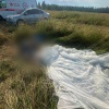 Десантник погиб во время прыжка с парашютом в День ВДВ в Подмосковье
