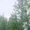 Одни из последних кадров разбившегося Ан-24 — здесь он совершает второй круг перед попыткой захода на посадку.