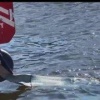 Этой ночью на Университетской набережной машина улетела в Неву. Всё произошло...