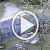 Собака покусала 11-летнего ребёнка в Нижегородской области