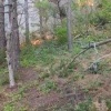 23 туриста попали в огненную ловушку под Геленджиком.