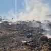 В Канском округе во время пожара сгорели телята