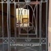 Петербургские коты попытались загнать крысу в угол, но та оказалась не из...