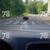 В Питере заметили законопослушного кабанчика. 🇷🇺 Источник: ЧП ПИТЕР