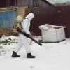 В Иланском ввели карантин из-за выявленного у медведя бешенства С 22 октября...