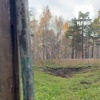 Боевой снаряд нашли у дома в Красноярском крае. Жители деревни Кузнецово что-...