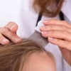 В Красноярском крае на 20,7% снизилась заболеваемость педикулёзом За девять...
