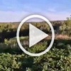 ❗️Сбитие украинского беспилотника 