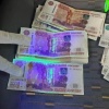 Бывшего лесничего осудят за взятки В Новосибирске завершено расследование...