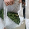 Мешок конопли насобирал любитель травки в Ачинском районе Ранее судимый...