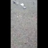 Два автобуса разом сгорели в Кемерове