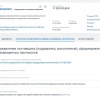 В Новокузнецке с июня не могут найти подрядчика для отлова собак