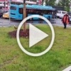 Чрезвычайно опасное путешествие утиного семейства на...