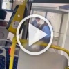 В Твери зайцы решили бесплатно покататься в общественном транспорте и вот, что из этого вышло
