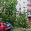 В Москве и Подмосковье несколько деревьев упали из-за не непогоды 🇷🇺...