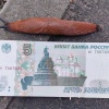 В Москве начали появляться Испанские слизни.