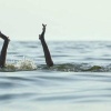 Под Новосибирском мать с ребёнком утонули в искусственном водоёме Под...