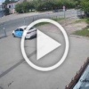 Мужчина жестоко избавился от собаки — швырнул её у ворот приюта в Нижнем Новгороде