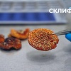 Москвич решил накачать мышцы с помощью мухоморов, но оказался в реанимации По...