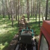 В окрестностях села Дзержинское лесопожарные службы проводят плановые работы...