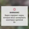 Медведь жестоко расправился с двумя свиньями и поросёнком в Ивделе....
