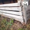 Медведь задрал больше 10 свиней на ферме в Богучанском районе. Хищник выломал...