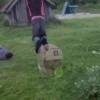 Под Красноярском юноша ради контента для соцсетей избил беззащитного пьяницу....