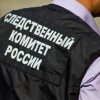 Полиция задержала 35-летнено жителя Каменска-Уральского, который являлся...