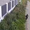 В поселке Растуново под Домодедово собаки на самовыгуле напали на мальчика и...