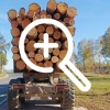 Мужчину из Красной Горы осудят за контрабанду лесоматериалов