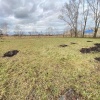 В Манском районе перед судом предстанет директор фирмы, обвиняемый в хищении...
