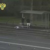 В Москве два молодых человека вытащили стекло из остановки, отнесли в сквер и разбили, засыпав все вокруг осколками.