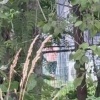 Арбалет VS газонокосилка — пьяный житель Сусанино ЛО не выдержал жужжания под...