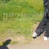 На брянской станции Дубровка под колесами поезда погиб мотоциклист