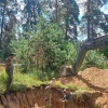 В Жуковке прошли поисковые работы на месте расстрела в годы войны мирных жителей