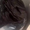 Шкуру краснокнижного хищника пытался продать в интернете абаканец.
