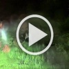 В Татарстане мигранты избили врача, который хотел им помочь