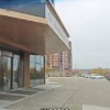 Хвостатый гость на заселение прибежал к лакшери-гостинице в Иркутске....