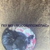 В Серебряных Прудах котёнок два дня просидел в трубе фонарной мачты....
