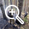 В СНТ «Кордон» под Красноярском за неделю несколько раз...