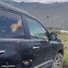 Боитесь насекомых — не смотрите это видео. Рой пчёл атаковал машину жителя...