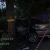 Обгон закончился трагедией в Калининградской области: молодой водитель врезался в дерево — три человека погибли
