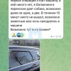 Шесть клеток со щенками обнаружили в припаркованной машине жители ЖК...