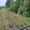 Жителей Подпорожского района Ленинградской области предупредили о выходах...