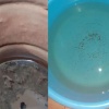Желтая жижа за 14 миллионов: в селе Бородино ремонт водонапорной башни обернулся экологической проблемой