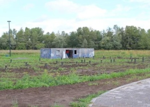 Сосны и смородина: на благоустройство набережной в Ачинске потратят ещё 19...