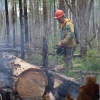 В Красноярском крае на сегодня действуют около 70 лесных пожаров, в их...