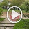 От читателя: Псы обитают на юго-восточном микрорайоне дом...